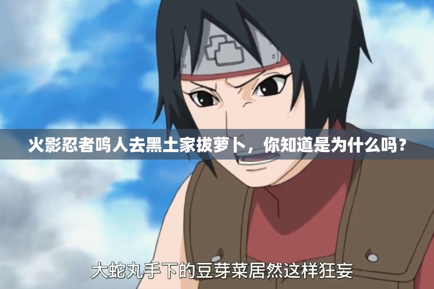 火影忍者鸣人去黑土家拔萝卜，你知道是为什么吗？