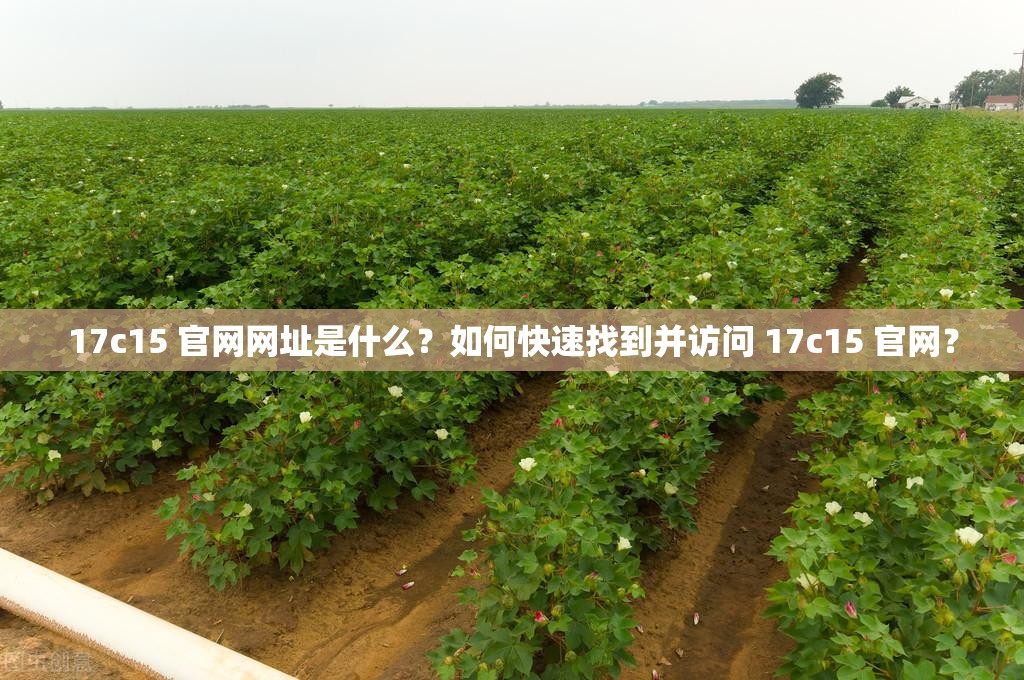 17c15 官网网址是什么？如何快速找到并访问 17c15 官网？
