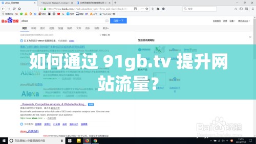 如何通过 91gb.tv 提升网站流量？