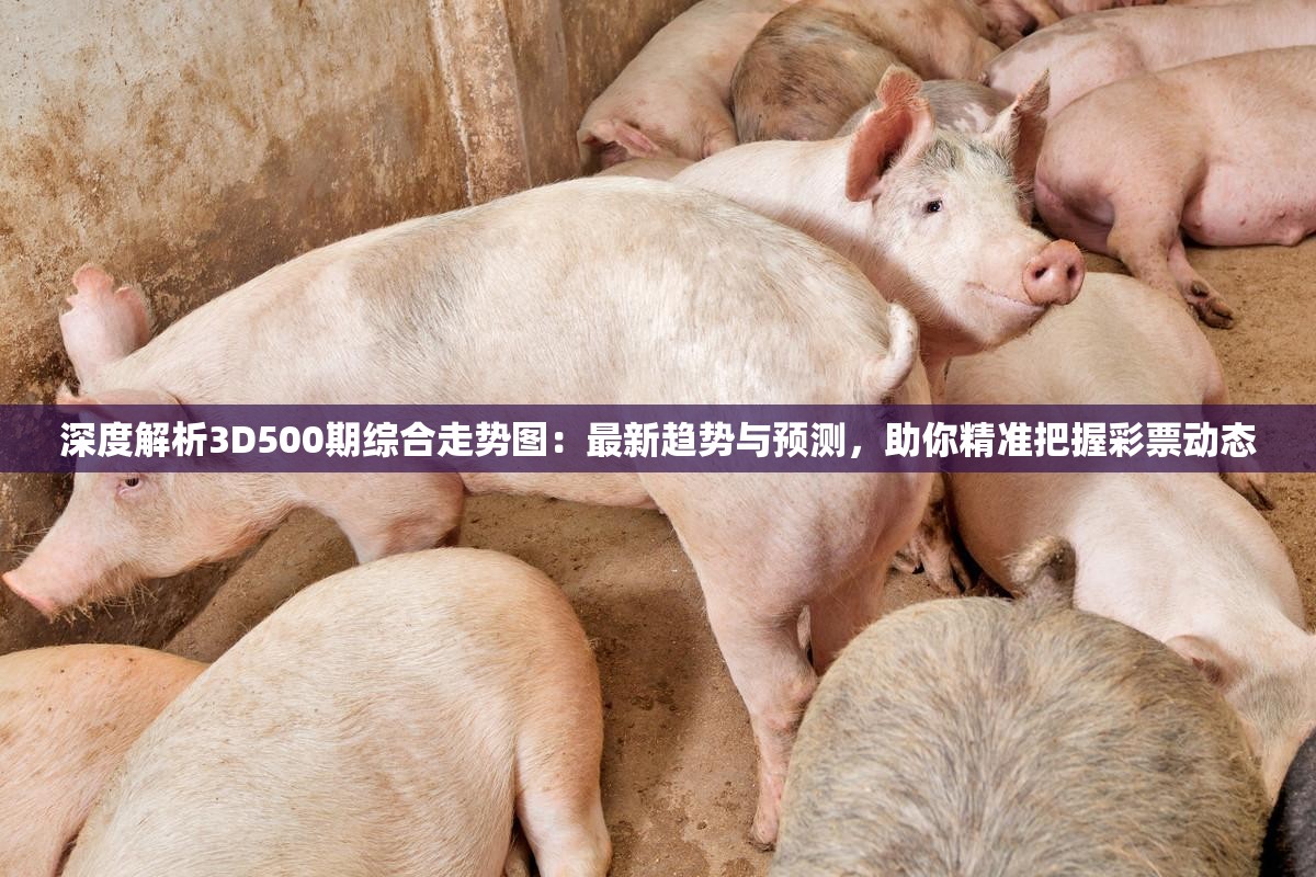 深度解析3D500期综合走势图：最新趋势与预测，助你精准把握彩票动态
