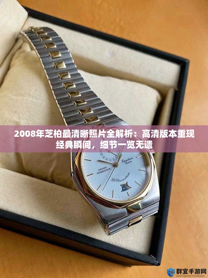 2008年芝柏最清晰照片全解析：高清版本重现经典瞬间，细节一览无遗