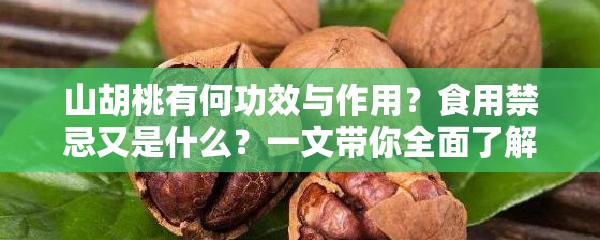 山胡桃有何功效与作用？食用禁忌又是什么？一文带你全面了解