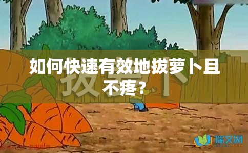 如何快速有效地拔萝卜且不疼？