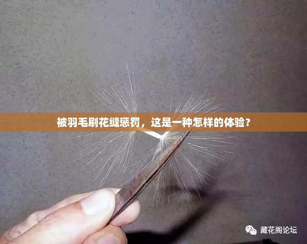 被羽毛刷花缝惩罚，这是一种怎样的体验？