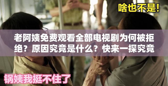 老阿姨免费观看全部电视剧为何被拒绝？原因究竟是什么？快来一探究竟
