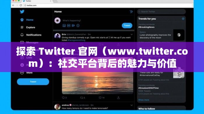 探索 Twitter 官网（www.twitter.com）：社交平台背后的魅力与价值