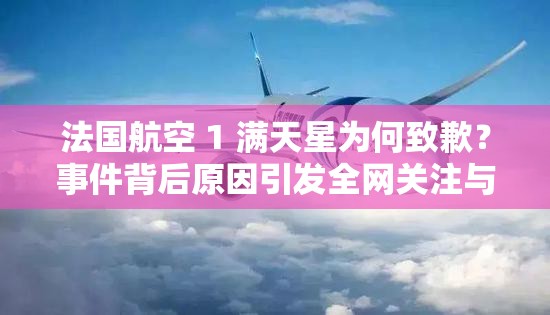 法国航空 1 满天星为何致歉？事件背后原因引发全网关注与热议