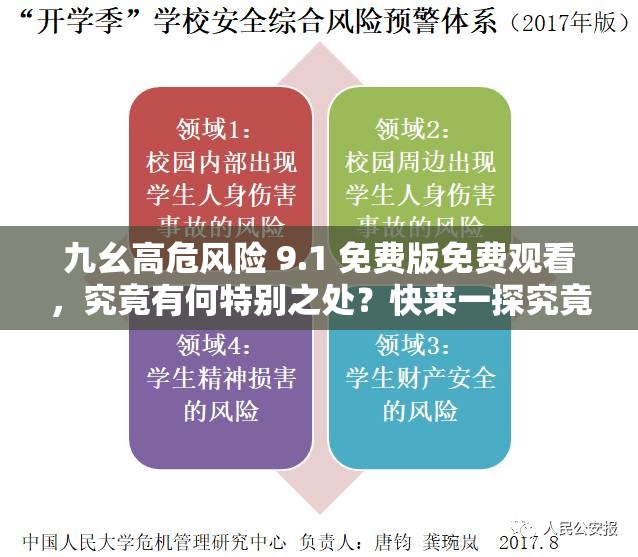 九幺高危风险 9.1 免费版免费观看，究竟有何特别之处？快来一探究竟