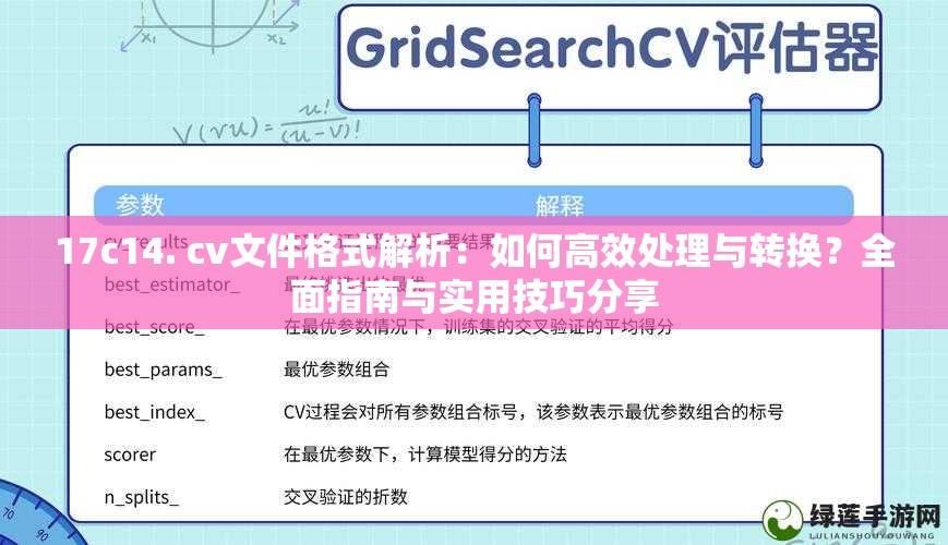 17c14. cv文件格式解析：如何高效处理与转换？全面指南与实用技巧分享