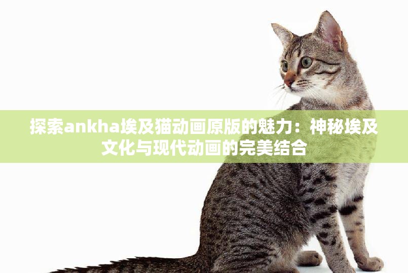 探索ankha埃及猫动画原版的魅力：神秘埃及文化与现代动画的完美结合