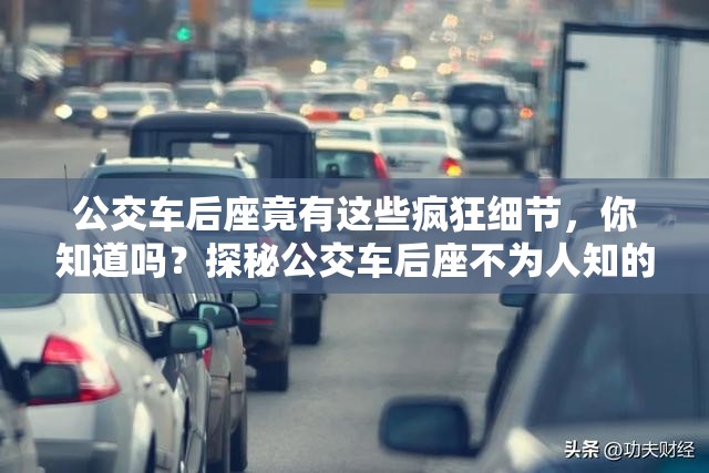 公交车后座竟有这些疯狂细节，你知道吗？探秘公交车后座不为人知的秘密