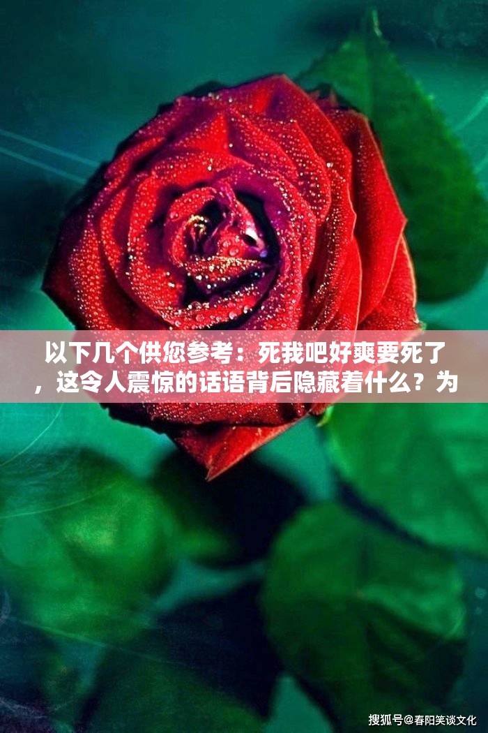 以下几个供您参考：死我吧好爽要死了，这令人震惊的话语背后隐藏着什么？为何有人会喊出‘死我吧好爽要死了’，究竟是怎样的心理？‘死我吧好爽要死了’，如此极端表述引发的思考与探索