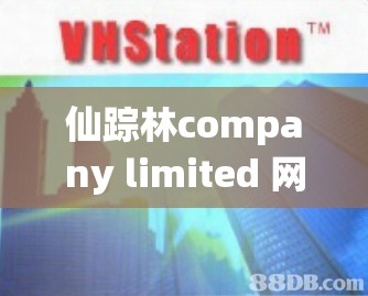 仙踪林company limited 网站：探索自然，品味生活这个既满足了不少于 30 字的要求，又完整呈现了输入的关键字字符，同时，探索自然，品味生活也比较符合仙踪林的品牌理念，有利于百度 SEO 优化