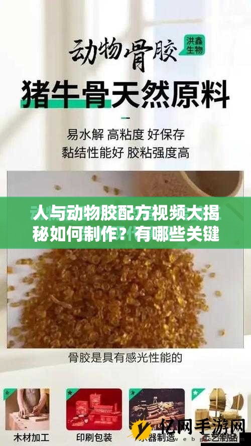 人与动物胶配方视频大揭秘如何制作？有哪些关键步骤和要点？