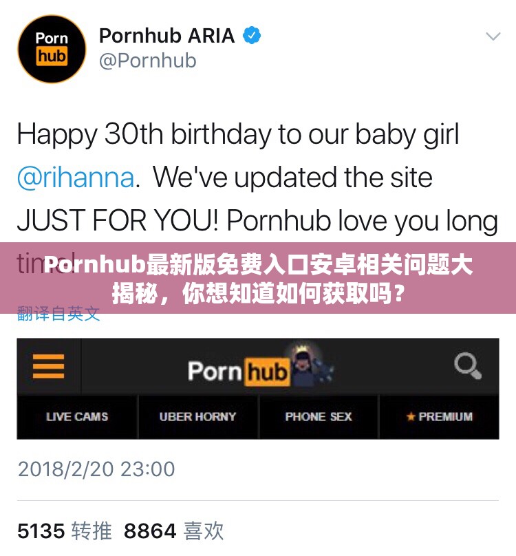 Pornhub最新版免费入口安卓相关问题大揭秘，你想知道如何获取吗？