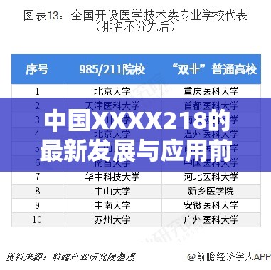 中国XXXX218的最新发展与应用前景解析：全面了解其技术优势与市场影响