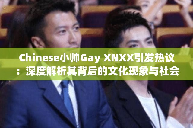 Chinese小帅Gay XNXX引发热议：深度解析其背后的文化现象与社会影响