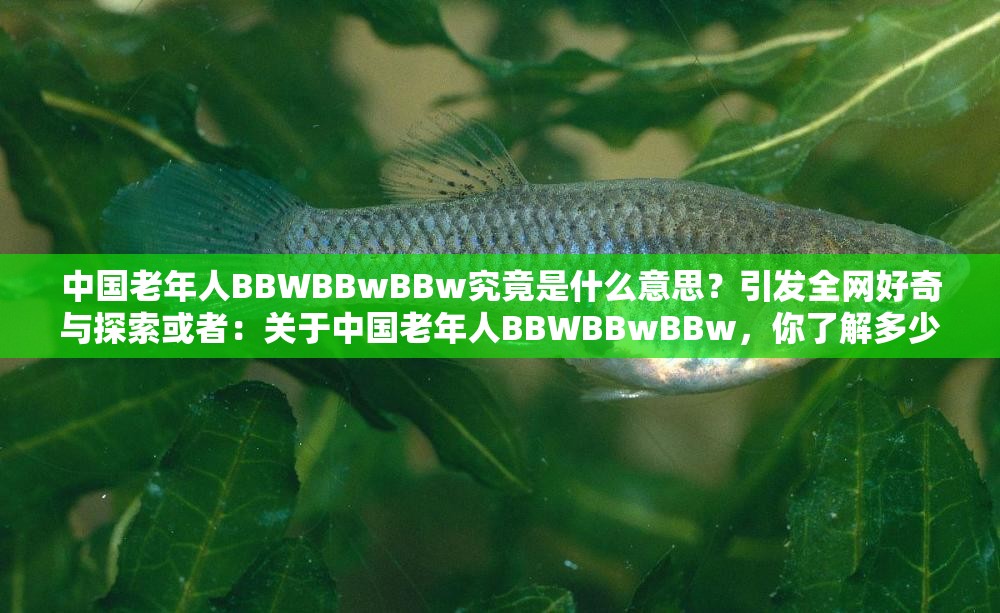 中国老年人BBWBBwBBw究竟是什么意思？引发全网好奇与探索或者：关于中国老年人BBWBBwBBw，你了解多少？快来一探究竟吧或者：中国老年人BBWBBwBBw，这个神秘组合背后隐藏着什么秘密？