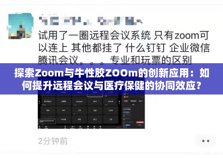 探索Zoom与牛性胶ZOOm的创新应用：如何提升远程会议与医疗保健的协同效应？