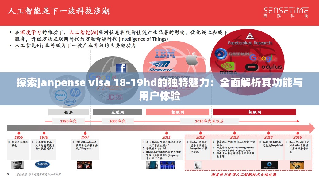 探索janpense visa 18-19hd的独特魅力：全面解析其功能与用户体验