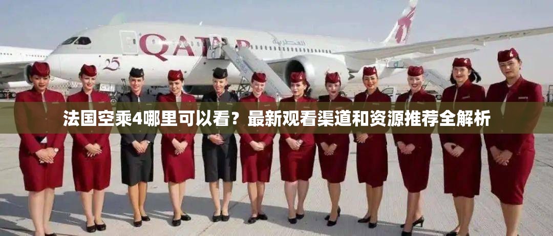 法国空乘4哪里可以看？最新观看渠道和资源推荐全解析