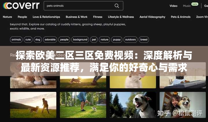 探索欧美二区三区免费视频：深度解析与最新资源推荐，满足你的好奇心与需求
