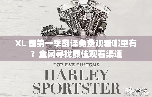 XL 司第一季翻译免费观看哪里有？全网寻找最佳观看渠道