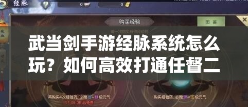 武当剑手游经脉系统怎么玩？如何高效打通任督二脉揭秘！