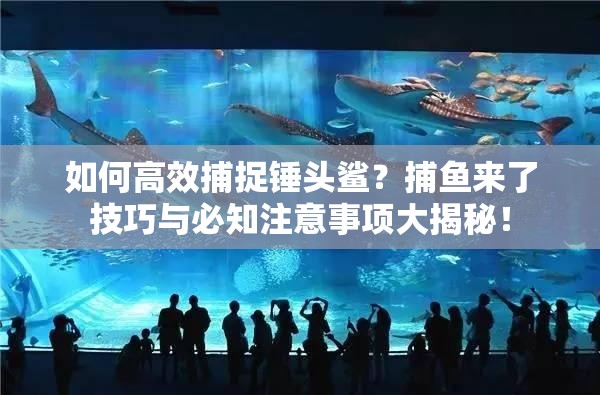 如何高效捕捉锤头鲨？捕鱼来了技巧与必知注意事项大揭秘！