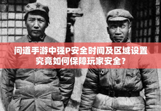 问道手游中强P安全时间及区域设置究竟如何保障玩家安全？