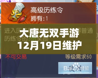 大唐无双手游12月19日维护后，资源管理为何至关重要？高效利用策略揭秘！