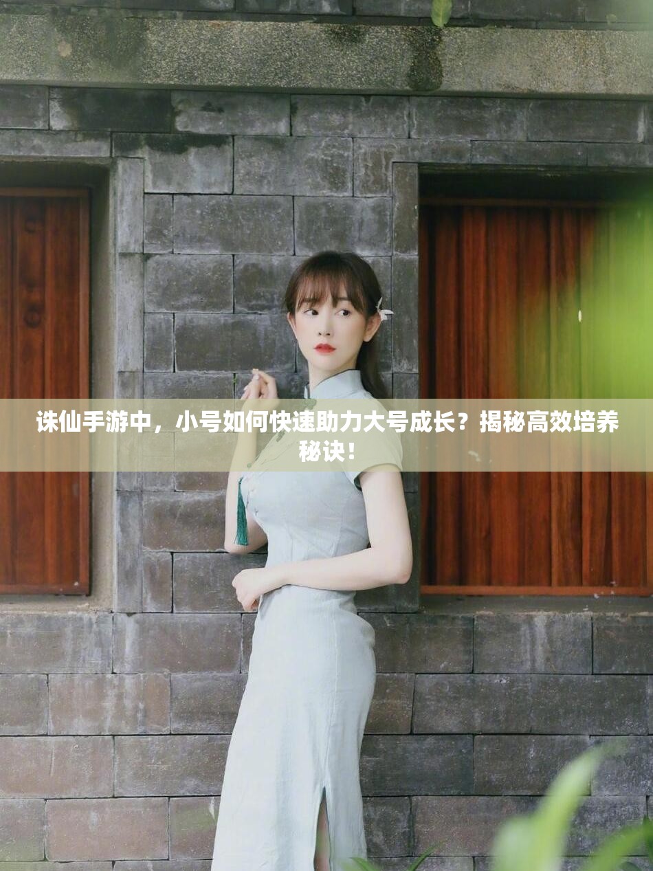 诛仙手游中，小号如何快速助力大号成长？揭秘高效培养秘诀！