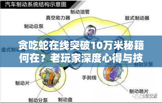 贪吃蛇在线突破10万米秘籍何在？老玩家深度心得与技巧大揭秘！