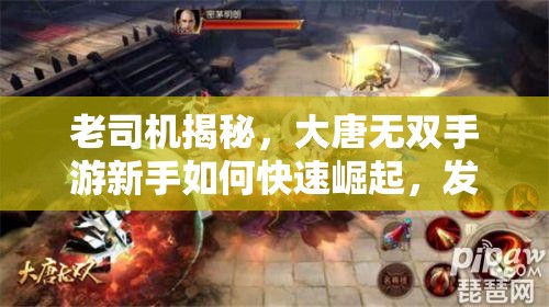老司机揭秘，大唐无双手游新手如何快速崛起，发展攻略大揭秘？