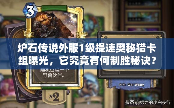 炉石传说外服1级提速奥秘猎卡组曝光，它究竟有何制胜秘诀？