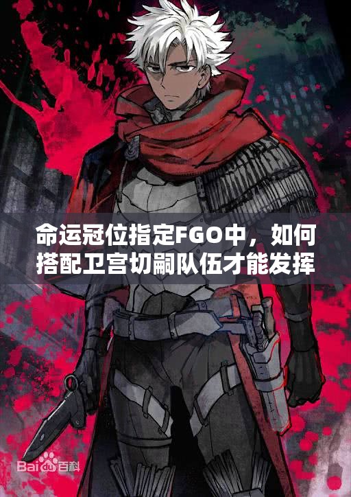 命运冠位指定FGO中，如何搭配卫宫切嗣队伍才能发挥最大战力？