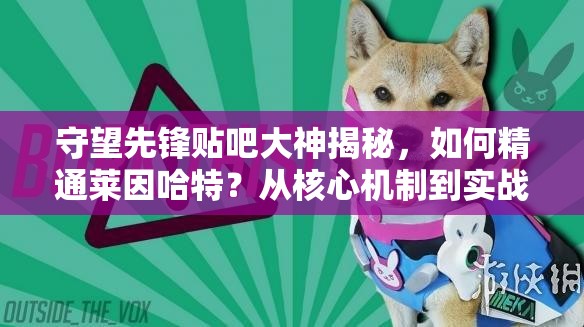 守望先锋贴吧大神揭秘，如何精通莱因哈特？从核心机制到实战技巧的全面疑问解答