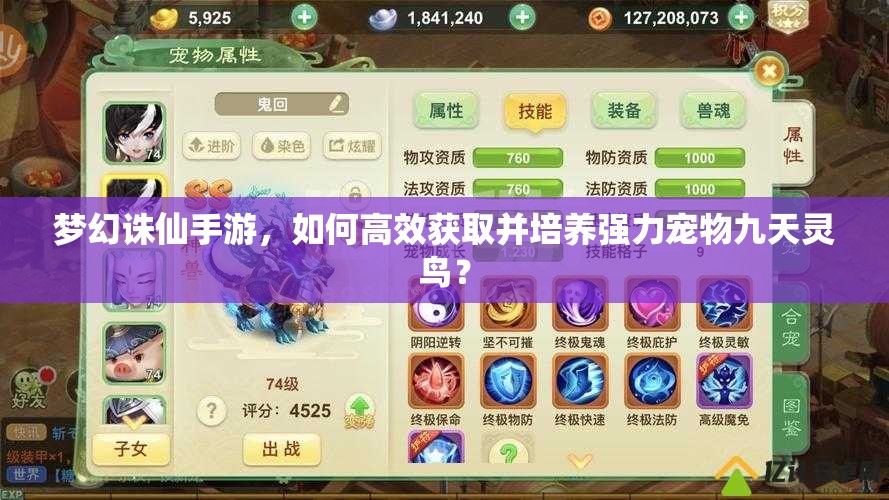 梦幻诛仙手游，如何高效获取并培养强力宠物九天灵鸟？
