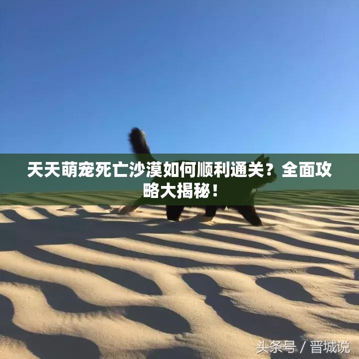 天天萌宠死亡沙漠如何顺利通关？全面攻略大揭秘！