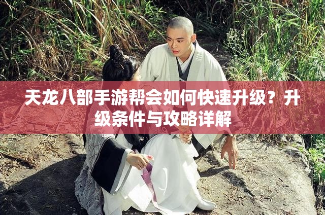 天龙八部手游帮会如何快速升级？升级条件与攻略详解