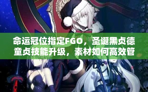 命运冠位指定FGO，圣诞黑贞德童贞技能升级，素材如何高效管理利用？