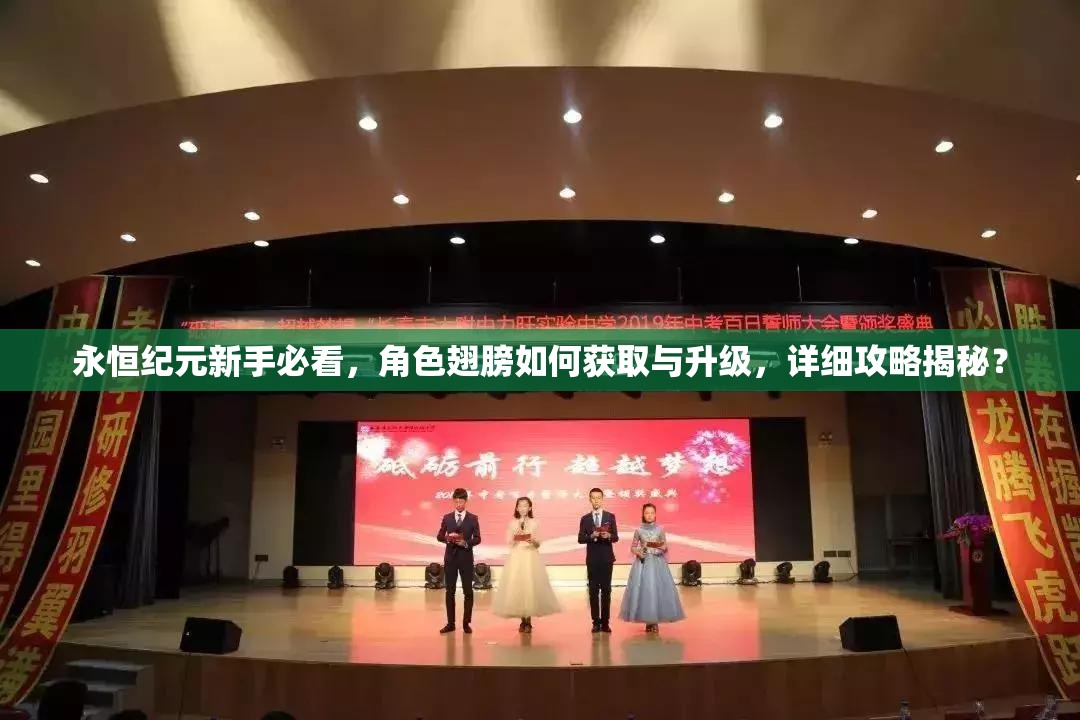 永恒纪元新手必看，角色翅膀如何获取与升级，详细攻略揭秘？