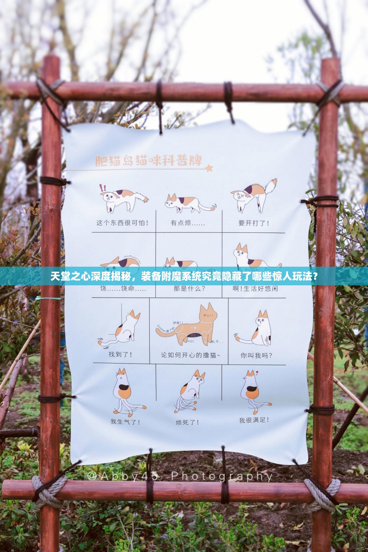 天堂之心深度揭秘，装备附魔系统究竟隐藏了哪些惊人玩法？