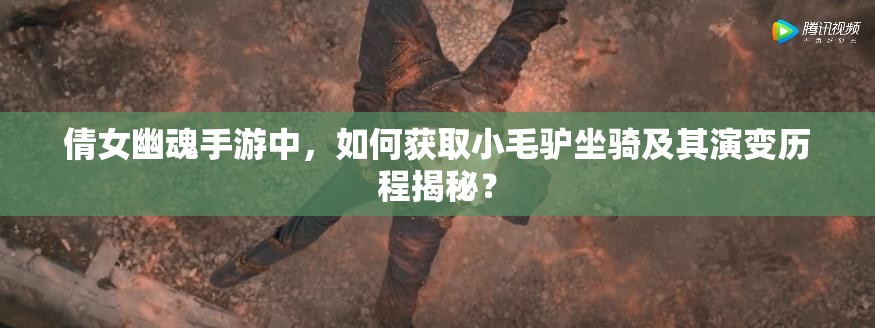 倩女幽魂手游中，如何获取小毛驴坐骑及其演变历程揭秘？