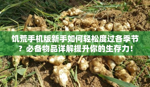 饥荒手机版新手如何轻松度过各季节？必备物品详解提升你的生存力！