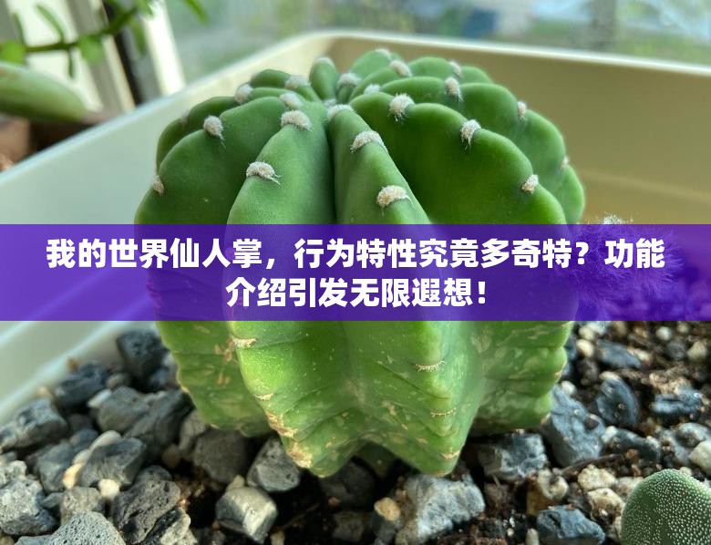 我的世界仙人掌，行为特性究竟多奇特？功能介绍引发无限遐想！