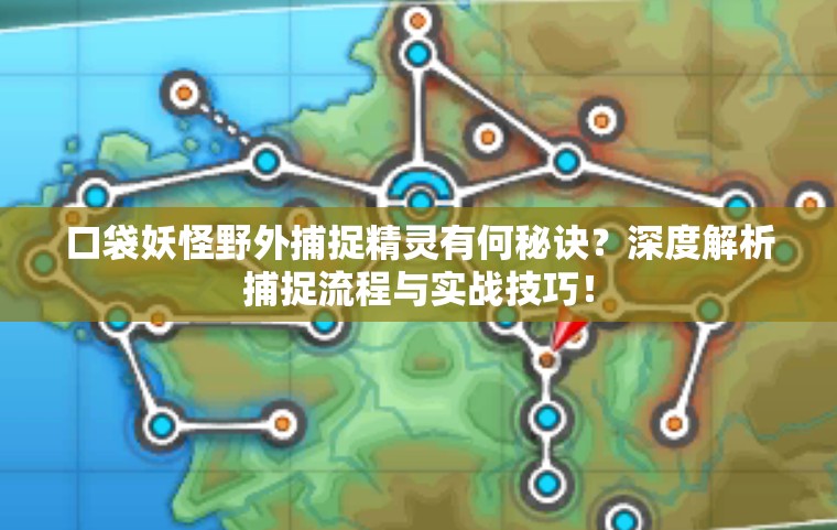 口袋妖怪野外捕捉精灵有何秘诀？深度解析捕捉流程与实战技巧！