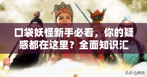 口袋妖怪新手必看，你的疑惑都在这里？全面知识汇总解析篇