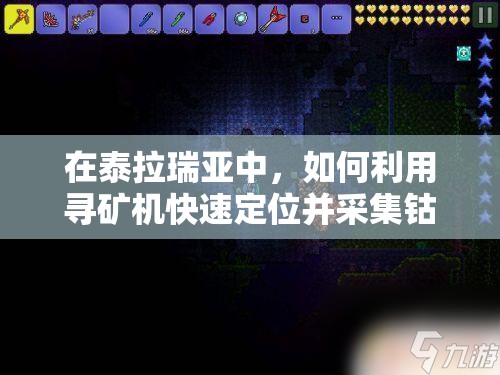 在泰拉瑞亚中，如何利用寻矿机快速定位并采集钴蓝矿的具体位置？