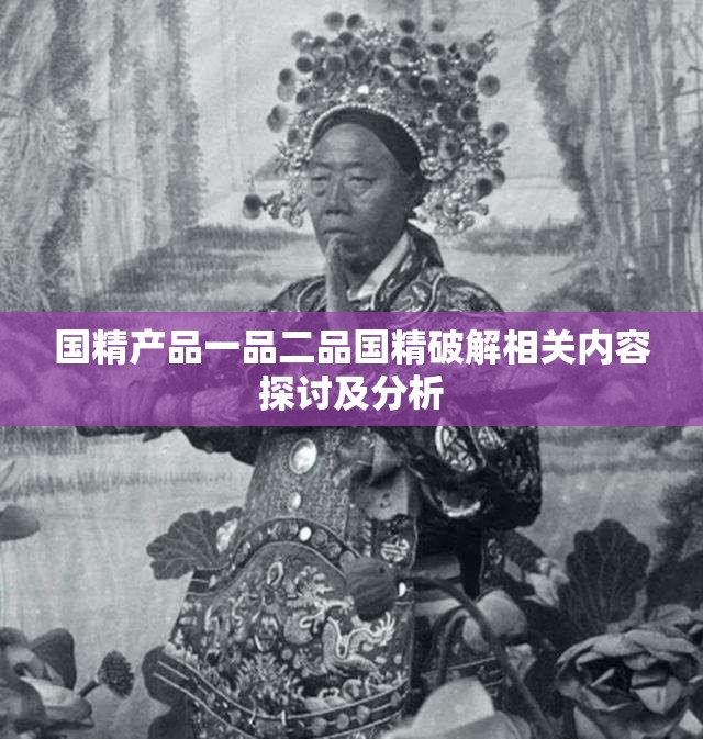 国精产品一品二品国精破解相关内容探讨及分析 国精产品一品二品国精破解相关内容探讨及分析